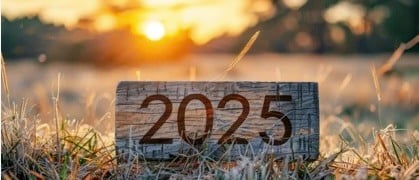 2025pic