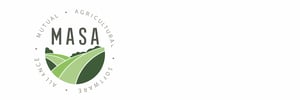 Masa