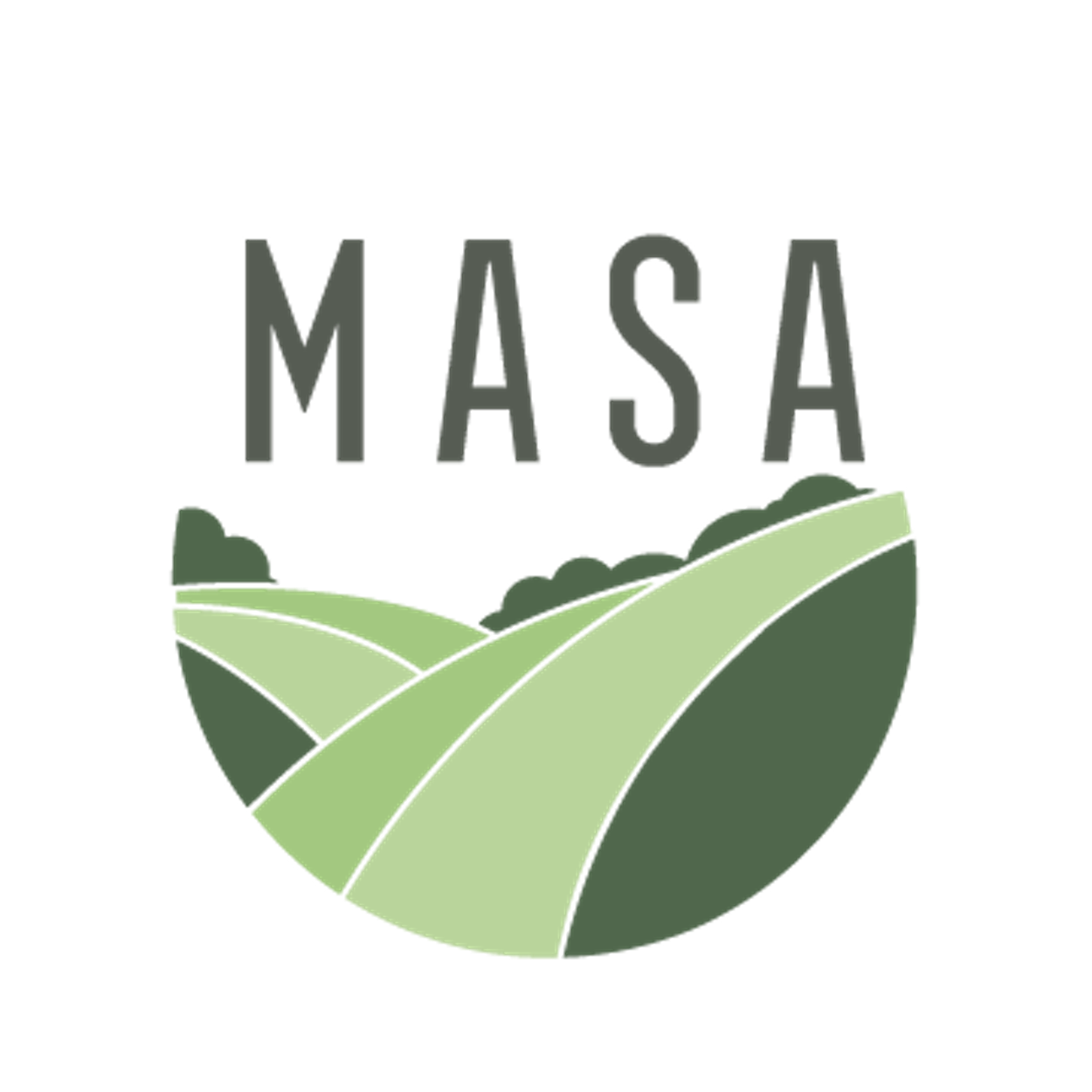 MASA Simple Clipped-Nov-06-2024-03-44-29-6336-PM