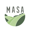 Masa