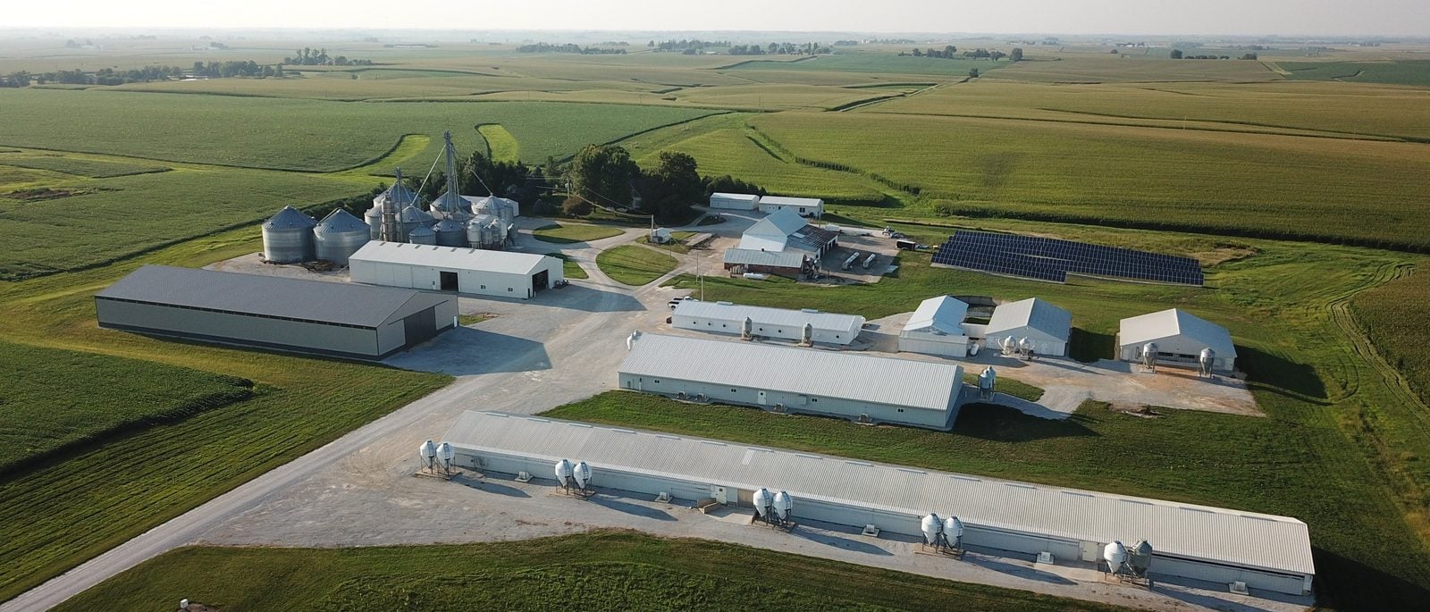 Grain, hogs, a shop and a solar array on one section — one set of books.